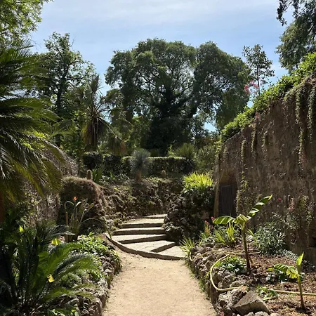 Light-filled Antigone Oasis
